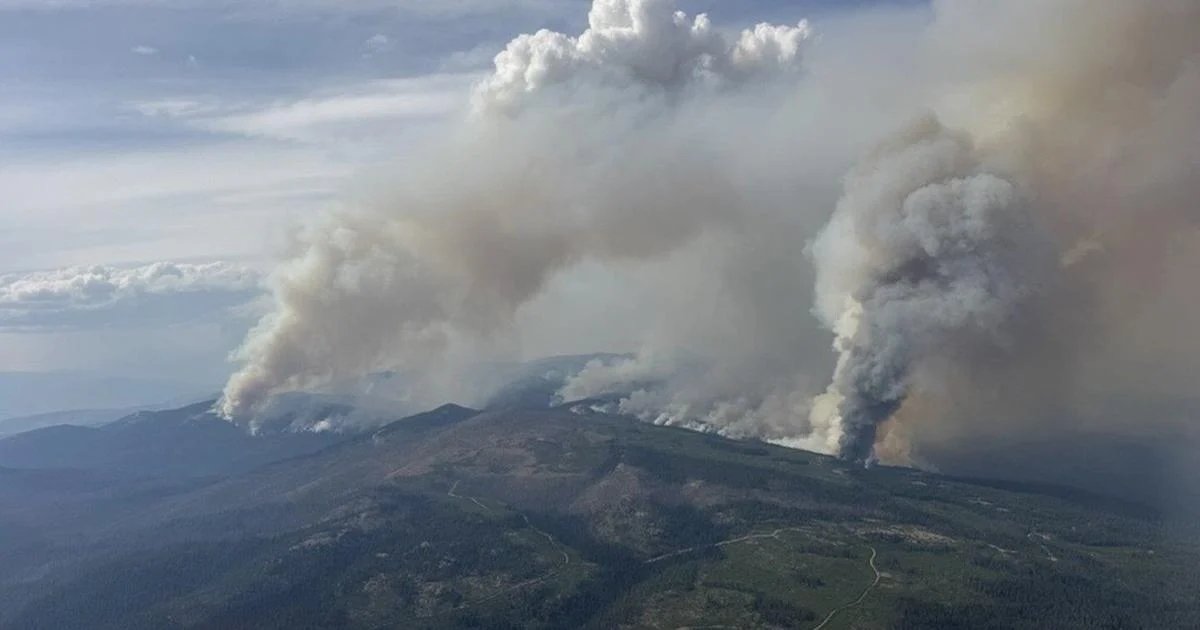 Province offers free N95 masks as wildfire smoke persists across B.C. Interior