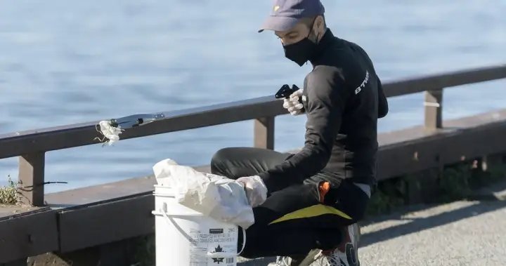 Quebec group leads 16-day shoreline cleanup – Montreal