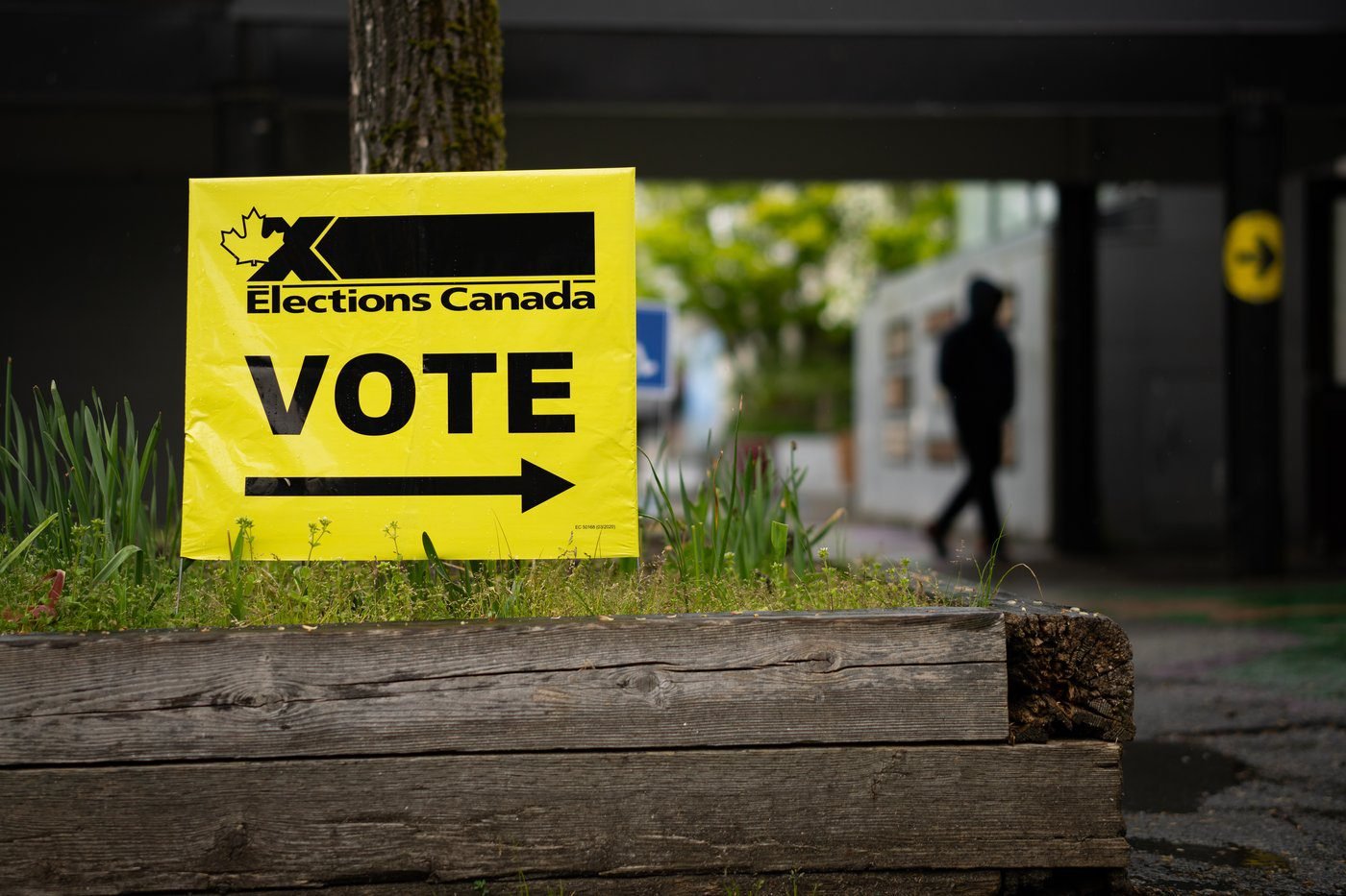 Voters in North Vancouver, B.C., head to polls in byelection