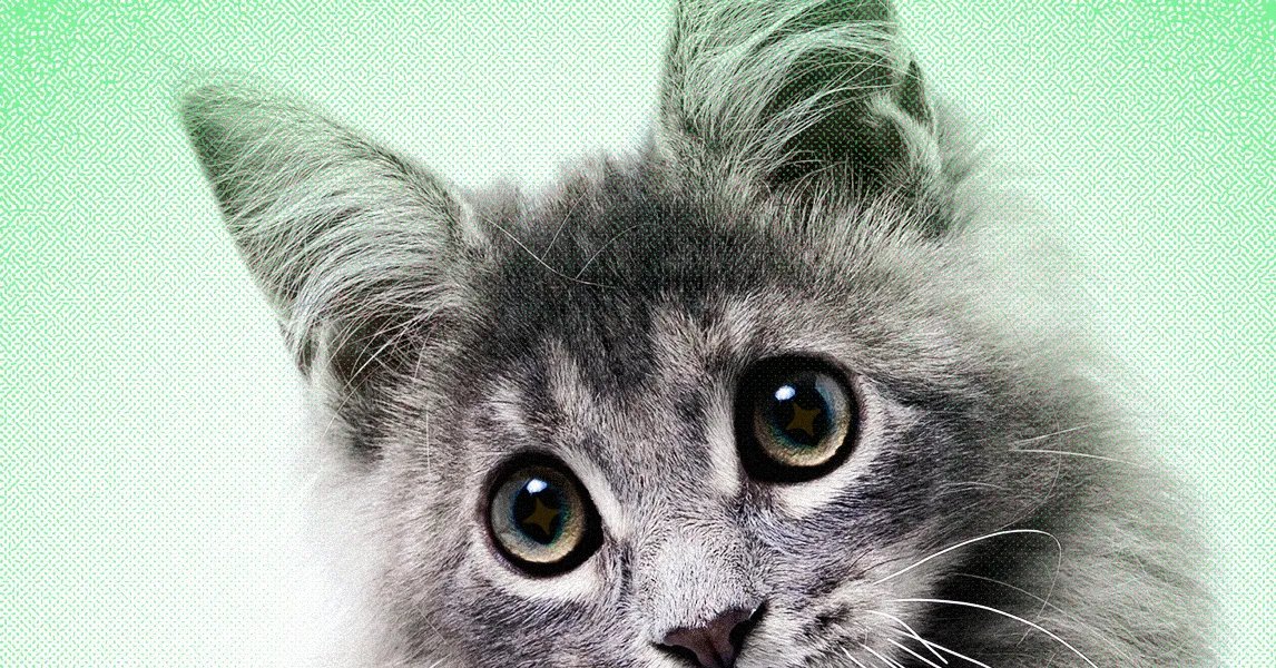 AI Slop Is Ruining Cute Animals on the Internet