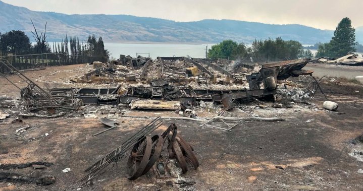 Photos show Bradley Creek wildfire destruction as resident describes losing everything