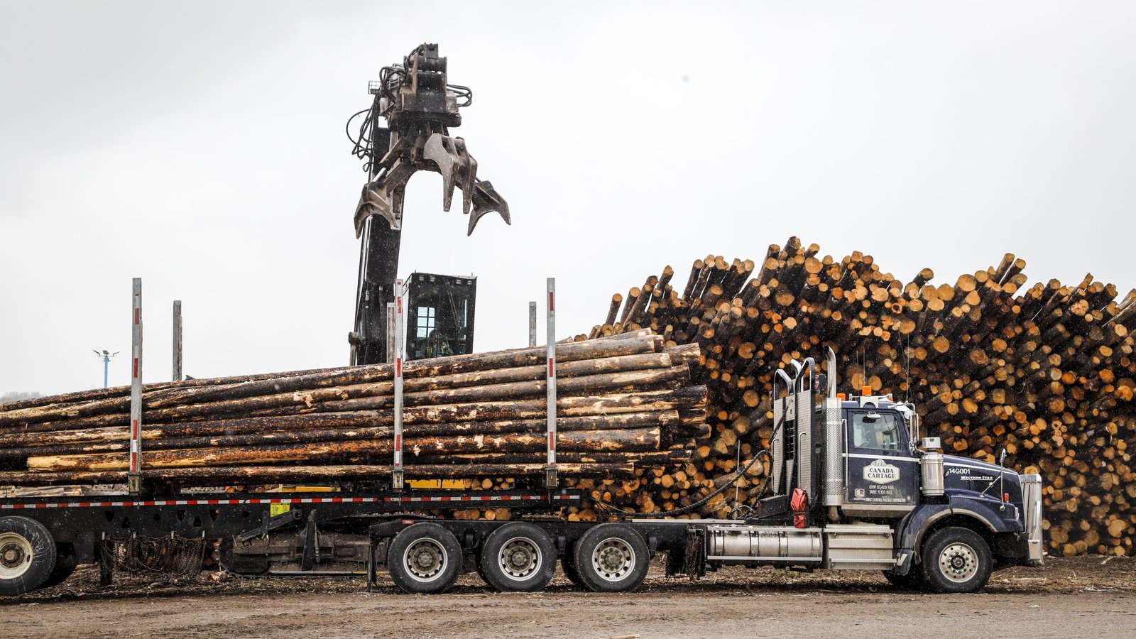 Team Carney front benchers fan out to unveil new support for Alberta forestry sector, B.C. seniors