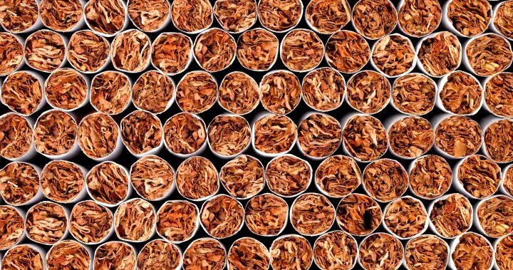 More than 4.3M illegal cigarettes seized by New Brunswick peace officers – New Brunswick