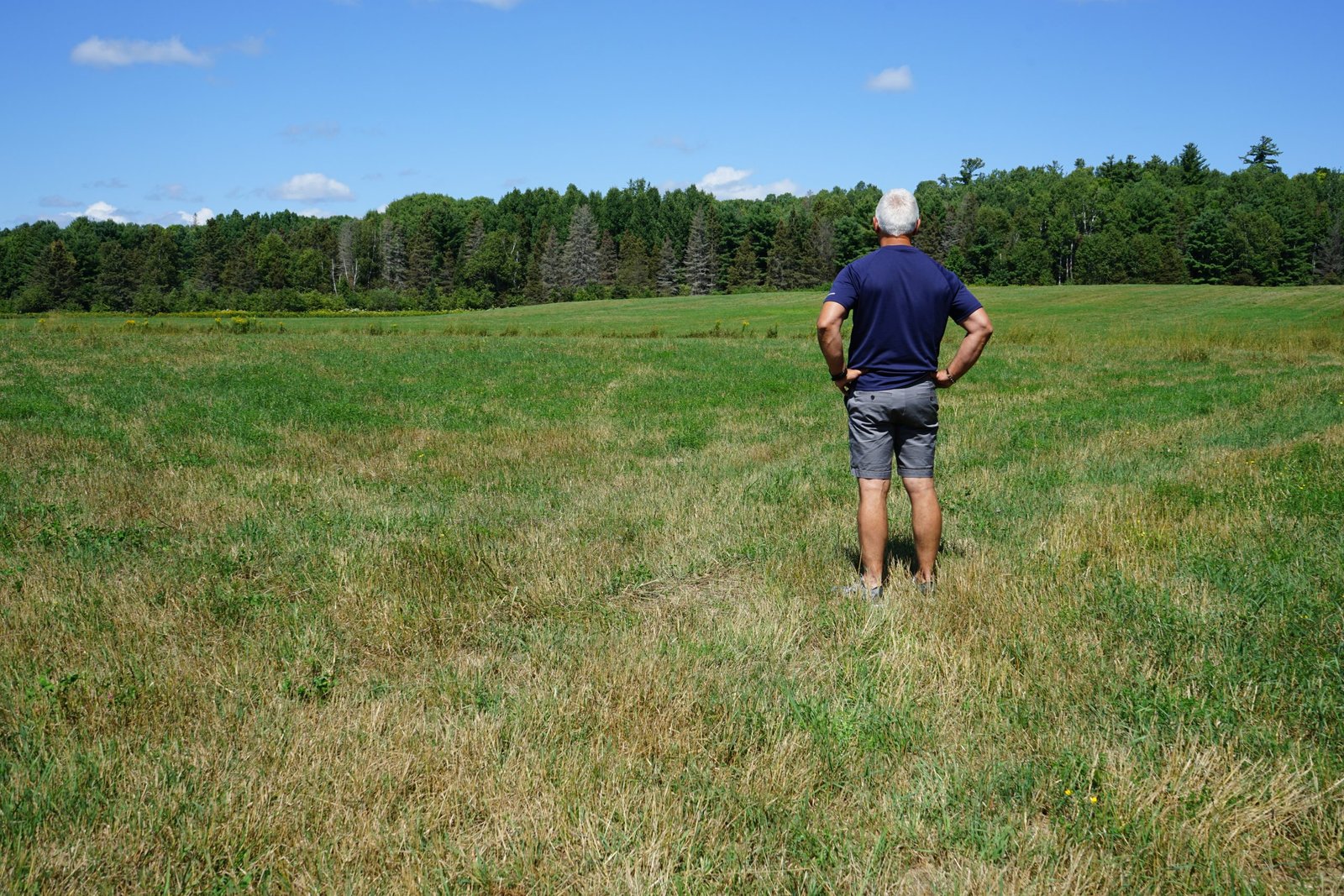Ontario’s rules pushed solar power north into a township that is pushing back