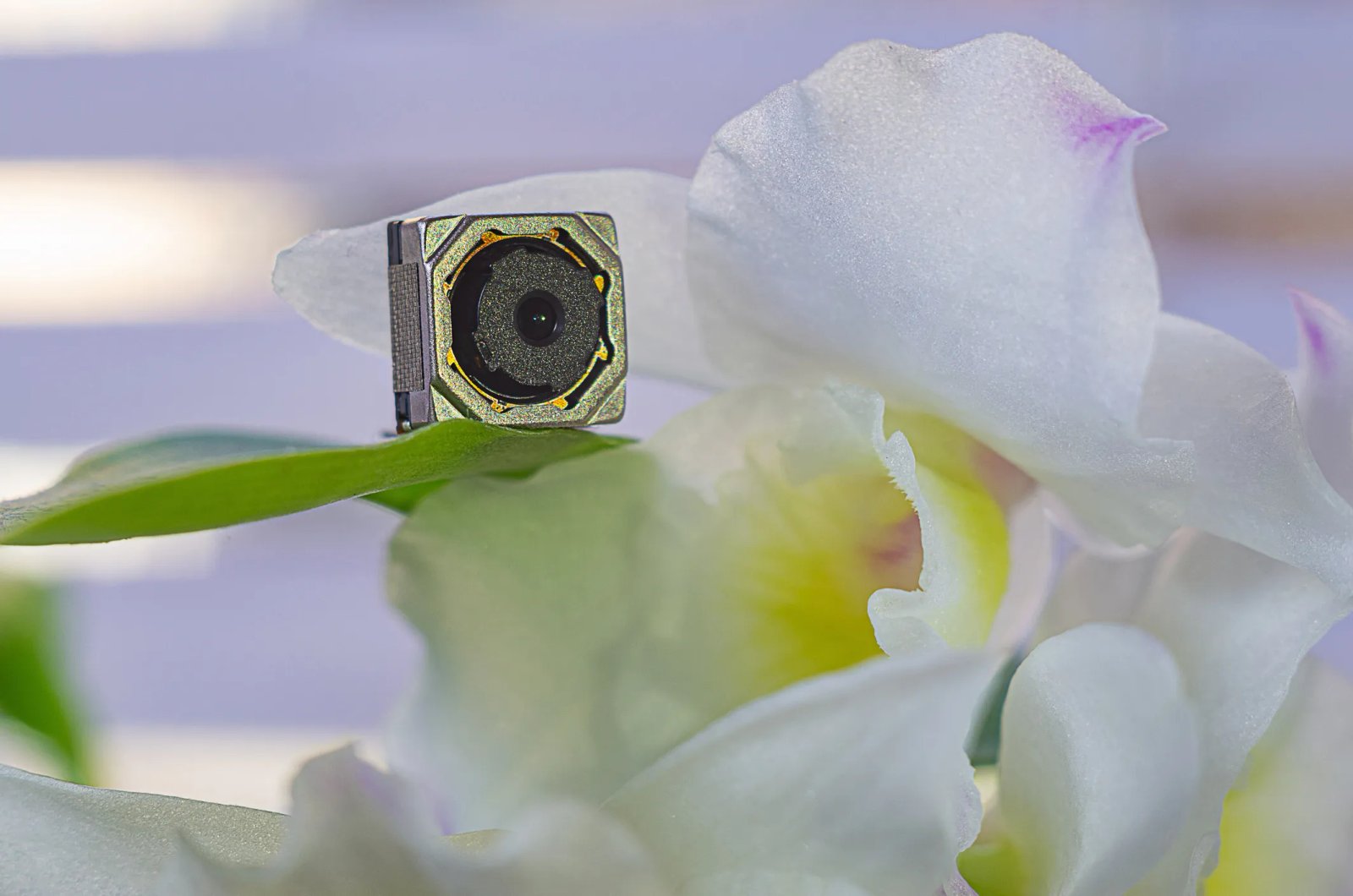 Burglars Are Hiding Cameras to Spy on Homes. Here’s What to Watch For