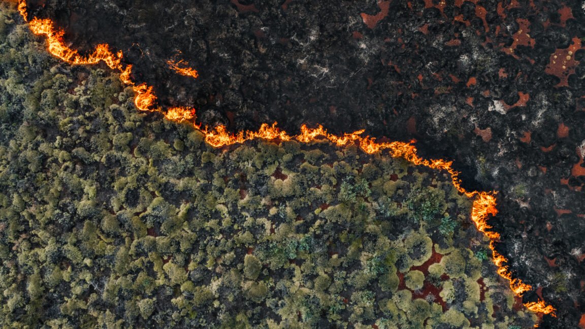 Senators demand crackdown on wildfire “prediction markets”