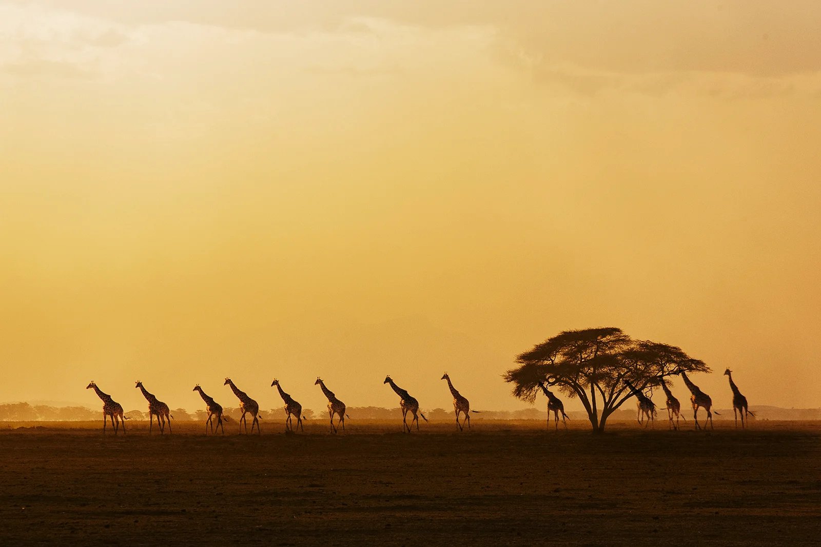 Kenya announces new travel insurance requirements