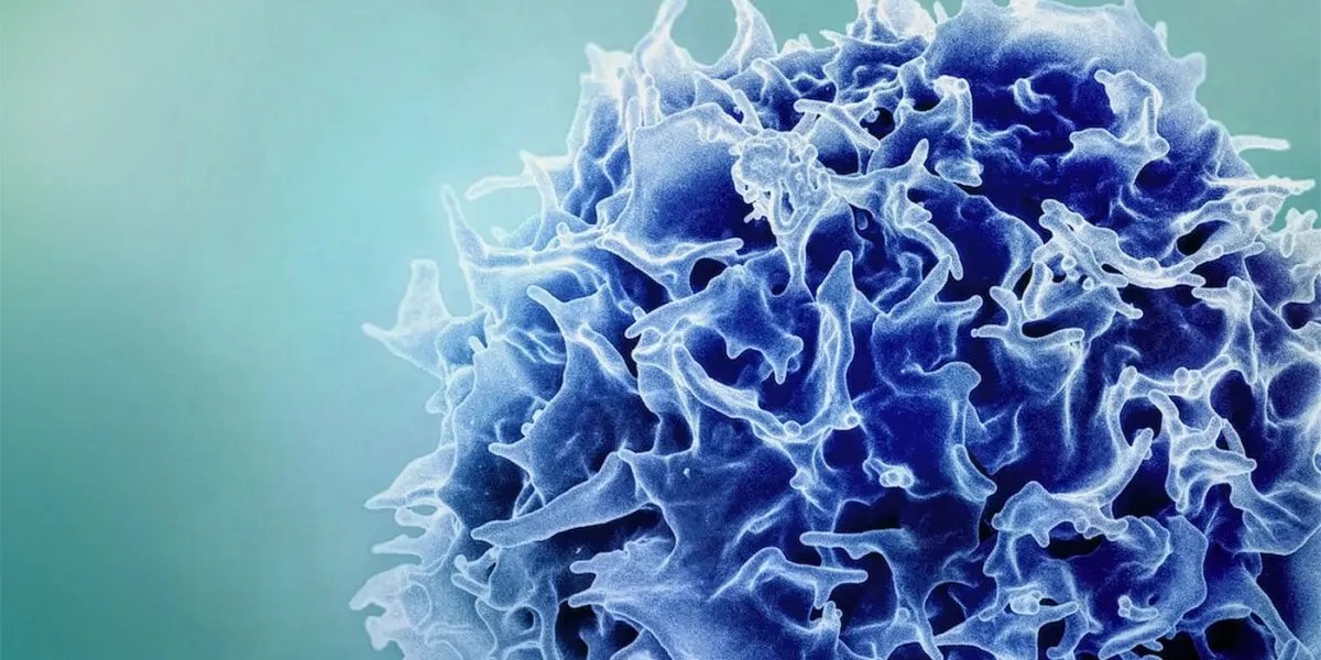 Amping up T cells to target cancer