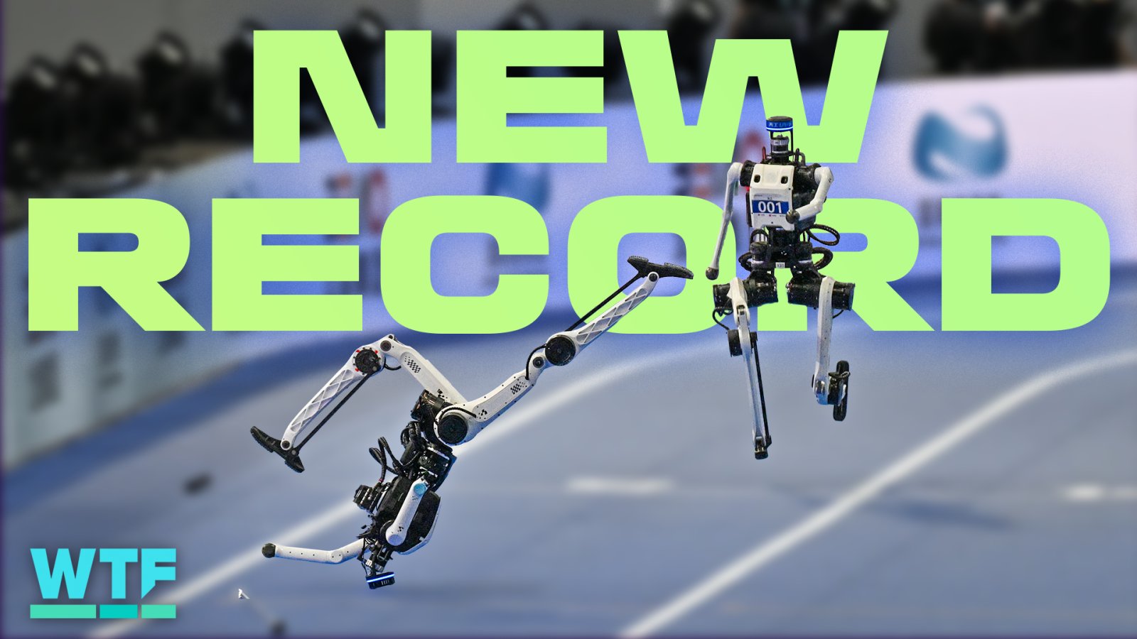 Wildest Highlights From China’s Humanoid Robot Olympics