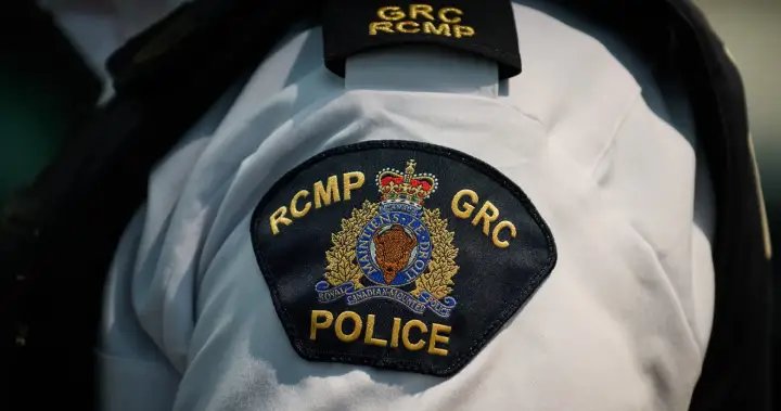 RCMP recover nearly 400 vehicles in ‘coordinated’ anti-fraud pilot program