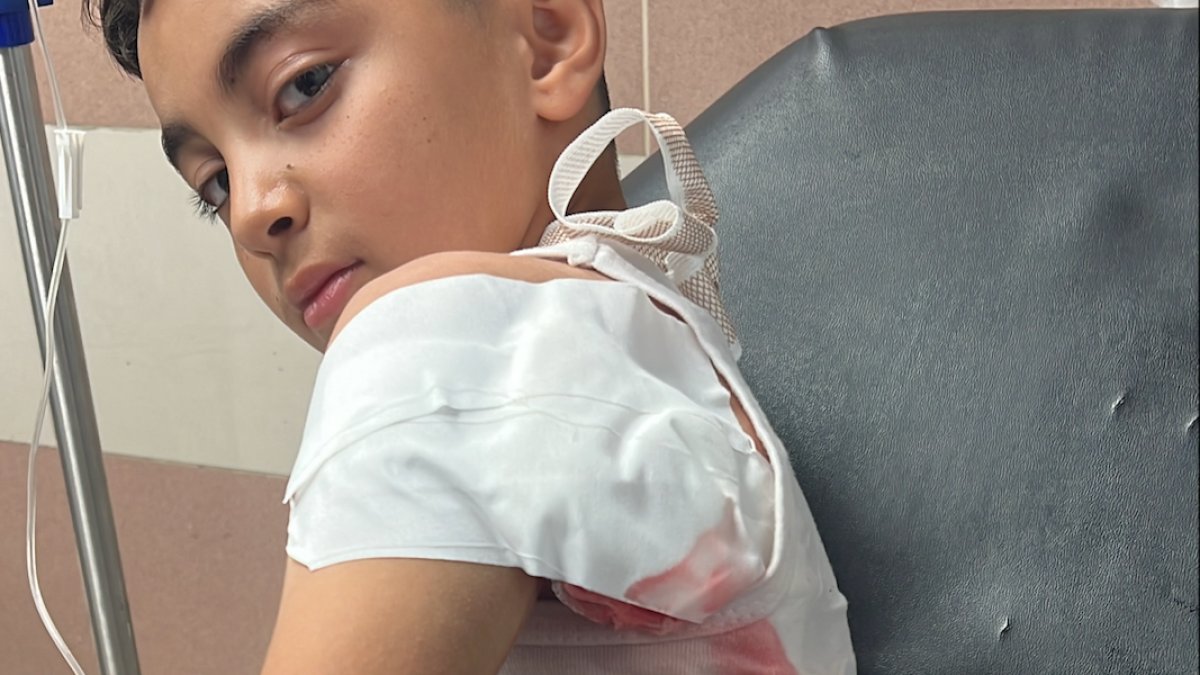 Israeli settlers shoot Palestinian child during farm raid | Israel-Palestine conflict