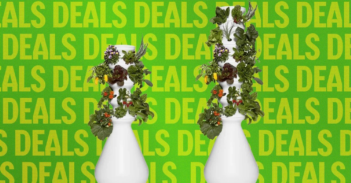The Best Way to Avoid Diarrhea Lettuce? This Indoor Garden