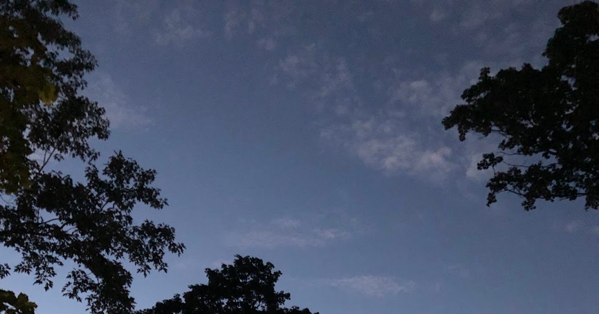 Saturday Photo: Eight-thirty, Aug. 6, Parc Outremont