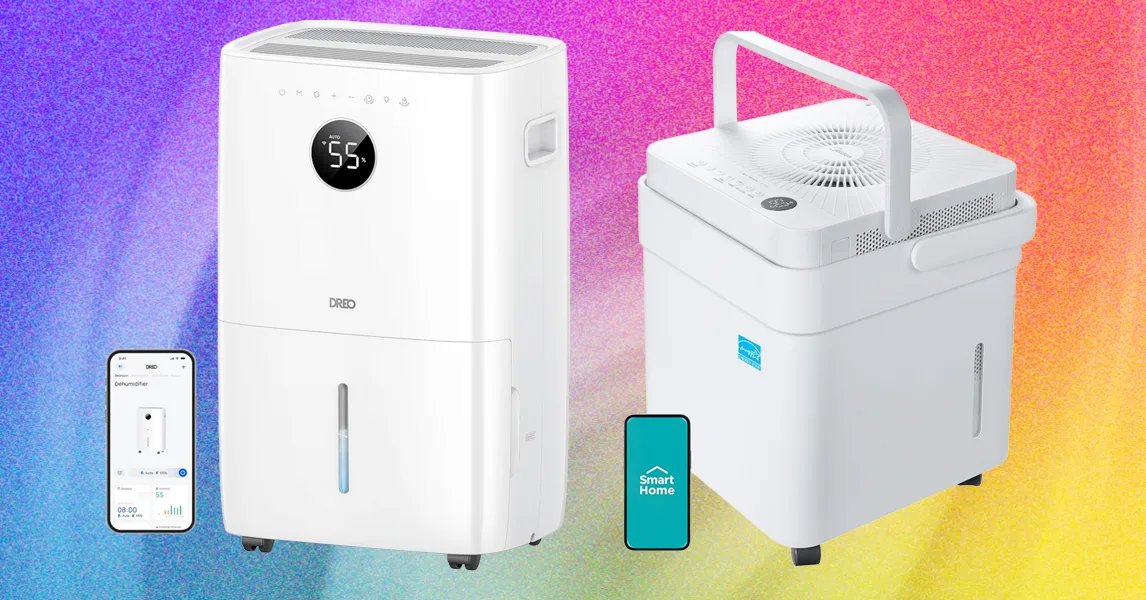 6 Best Dehumidifiers to Fight Mold and Muggy Summers (2026)