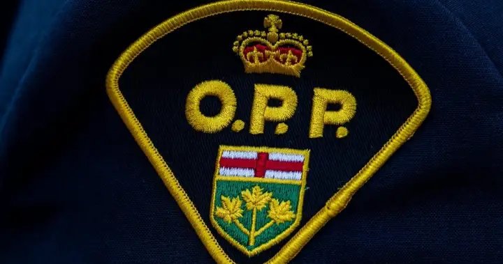 1 dead, 1 rescued after canoe capsizes in Ontario lake