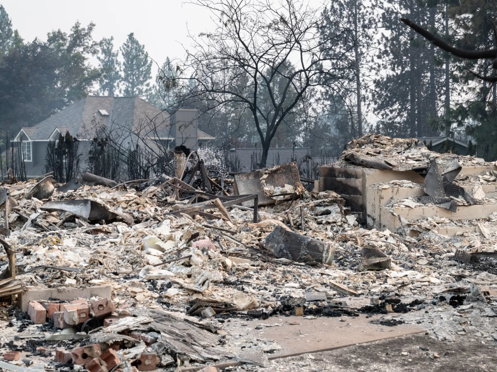 US arrests suspect over Spokane wildfire as tens of thousands flee blaze | Climate Crisis News