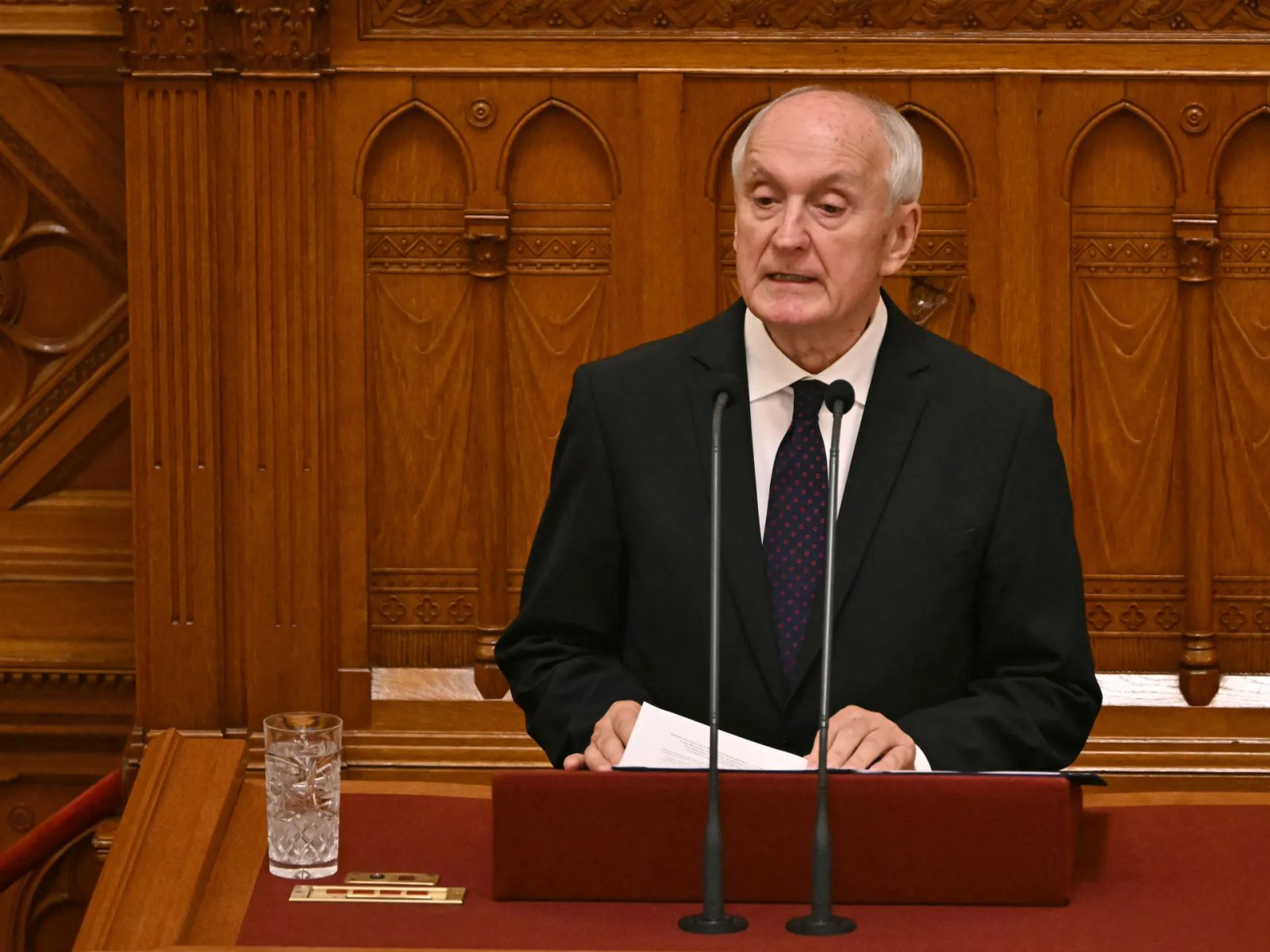 Hungary elects supreme court judge ousted by Orban as new president | Civil Rights News