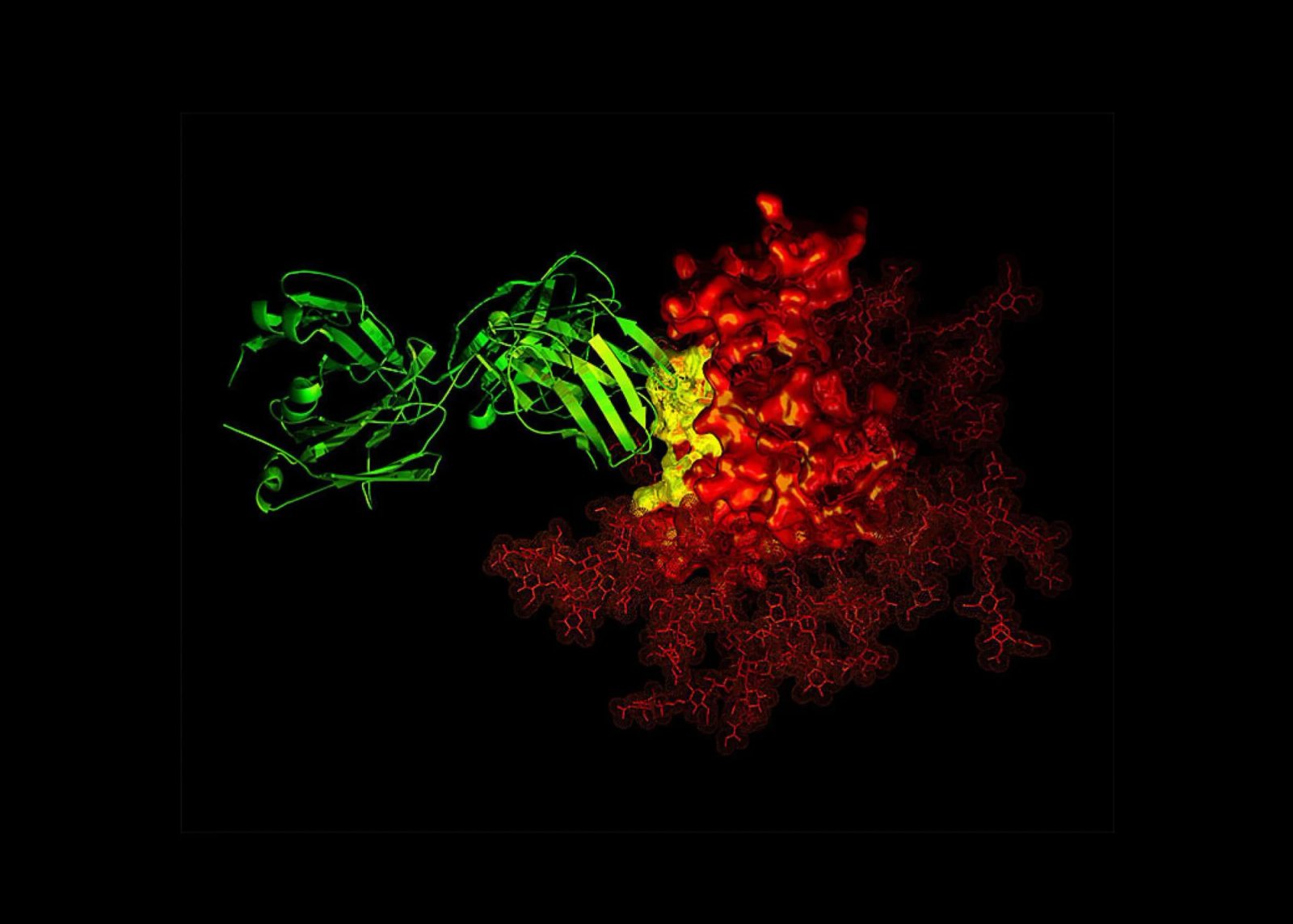 Why Do Some People Never Get Cancer? The Answer May Be in Their Blood