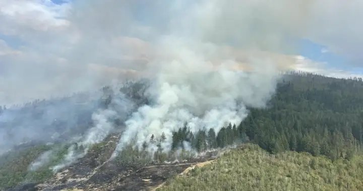 B.C. wildfires continue to flare up, with almost 30 added in past 24 hours