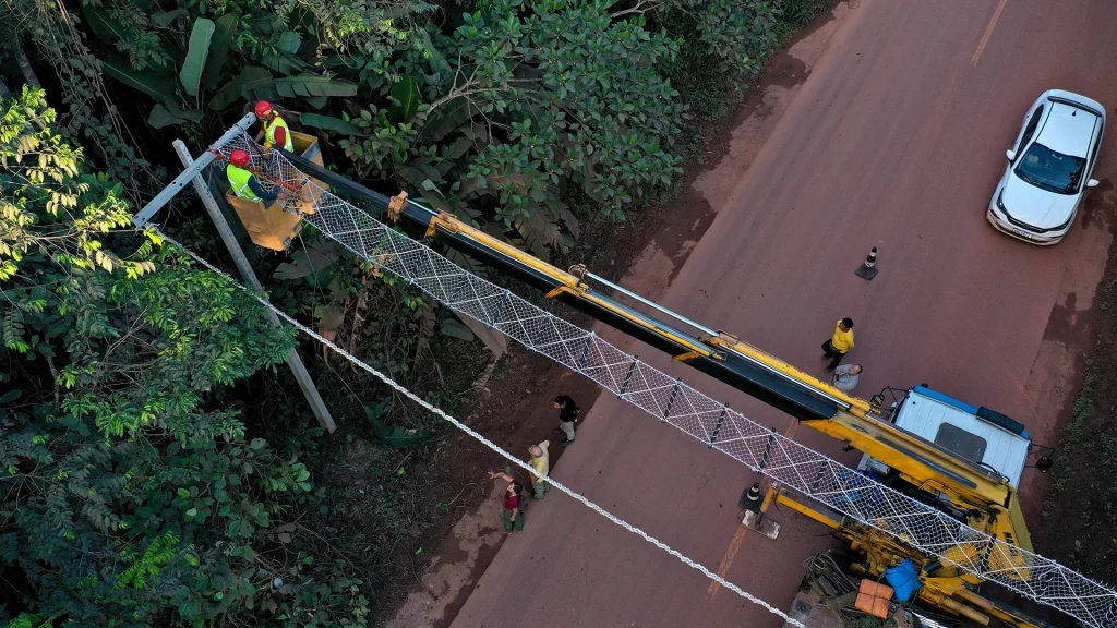 Amazon Bridge Saves Thousands of Lives – Things Are Good