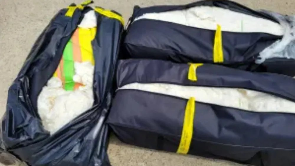 CBP Seizes 440 Pounds of Unprocessed Cotton at Virginia’s Dulles Airport