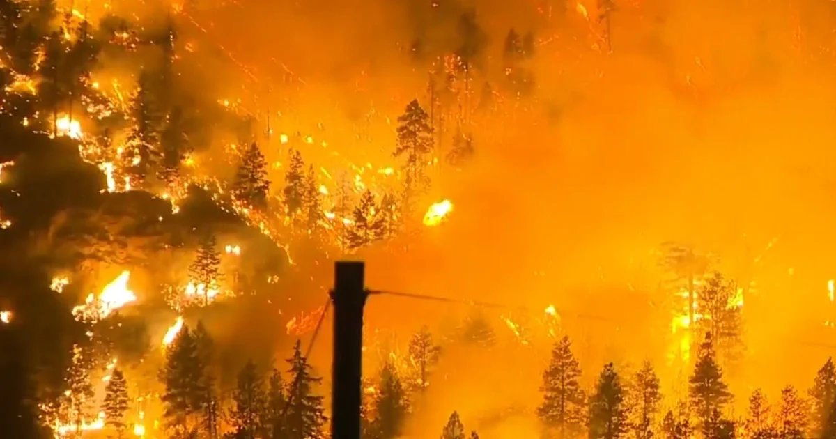 Wildfires ravage the West: Details and the forecast
