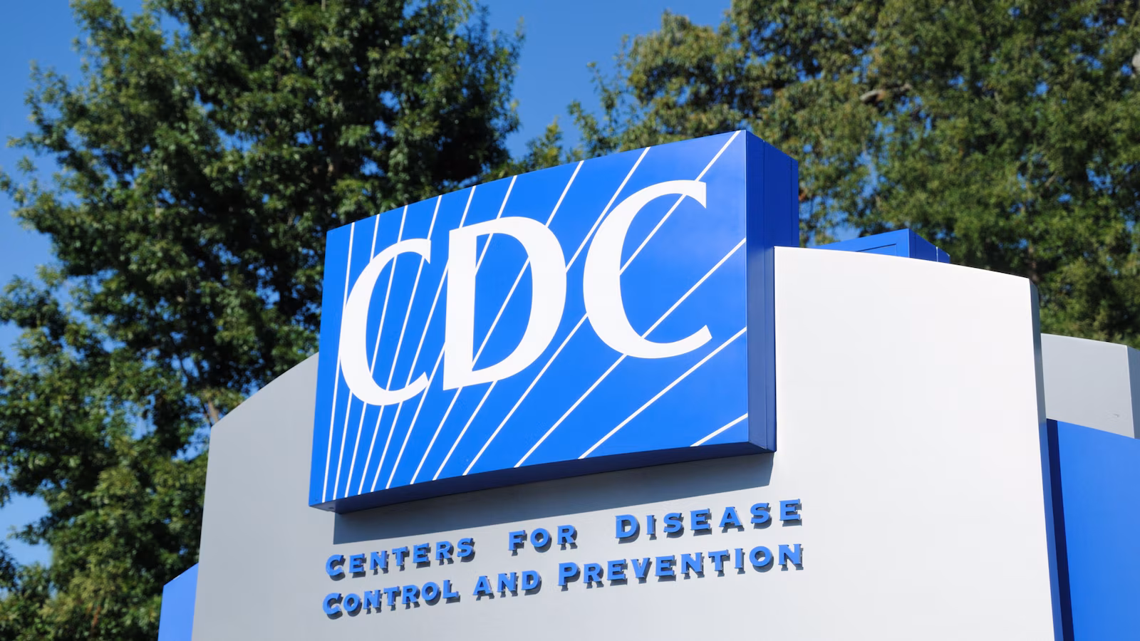At least 41 sickened in Salmonella, E. coli outbreak linked to sprouts