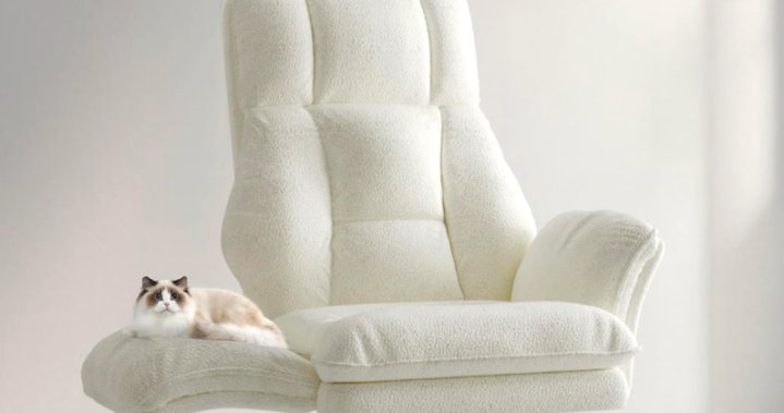 The Curator: Unpacking the viral criss-cross office chair trend – National