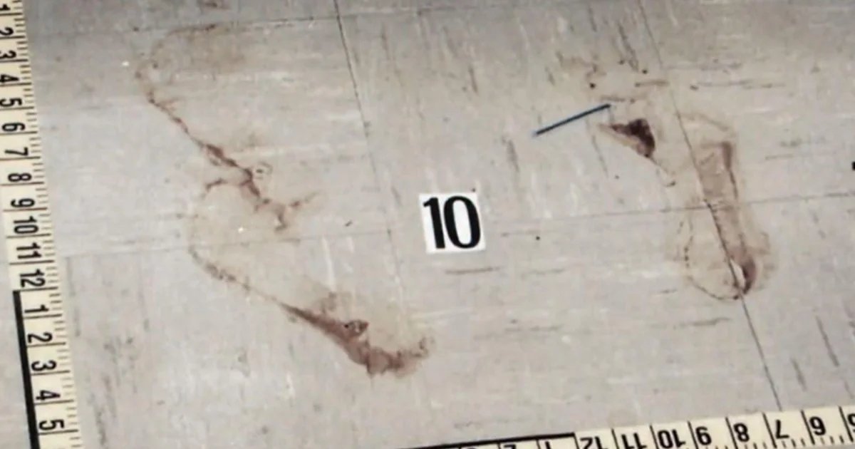 Bloody, bare footprints at Minneapolis murder scene lead to decadeslong search for answers