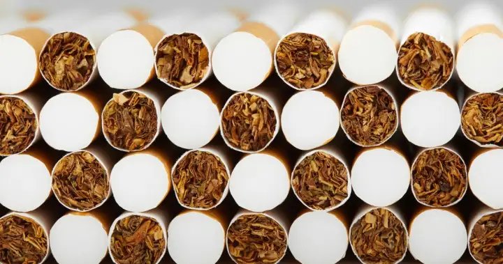 Roughly 600K illegal cigarettes seized by Winnipeg police – Winnipeg