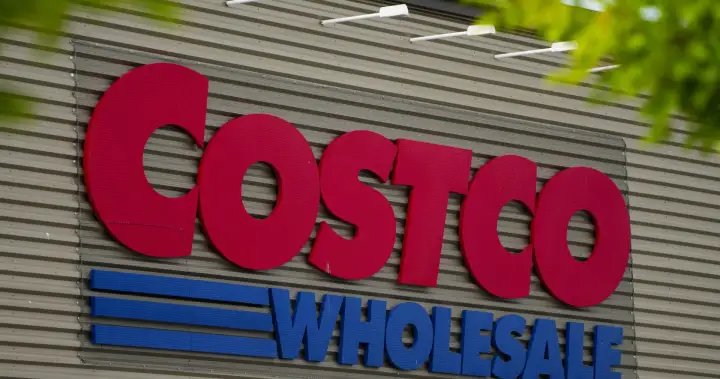 Costco Canada recalls yogurt products that may contain mould – National