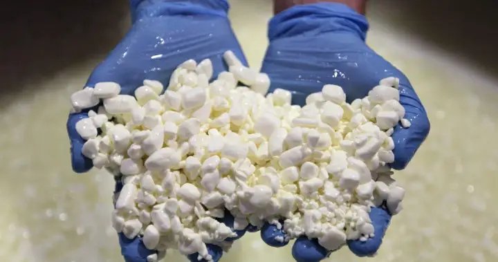Canada’s dairy companies boost production amid ‘national cottage cheese shortage’ – National