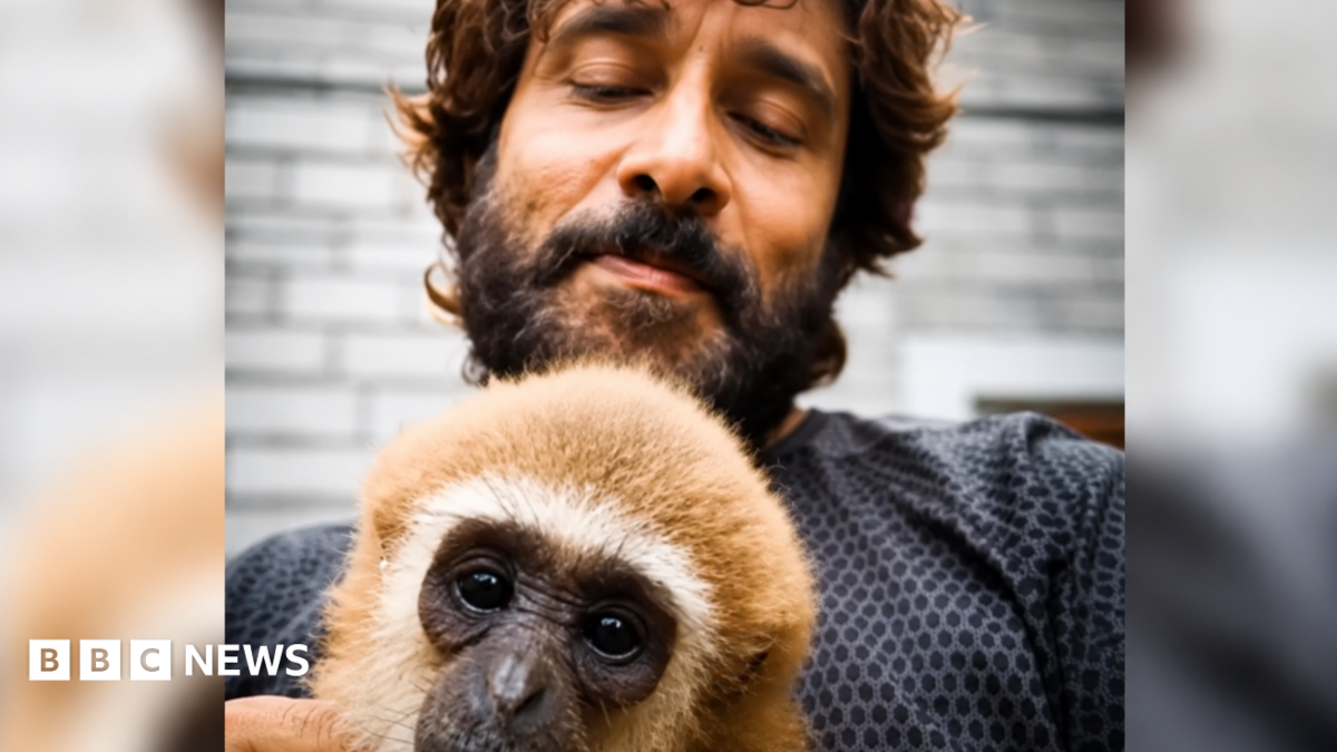 Vikram’s viral video with lar gibbon sparks India wildlife investigation
