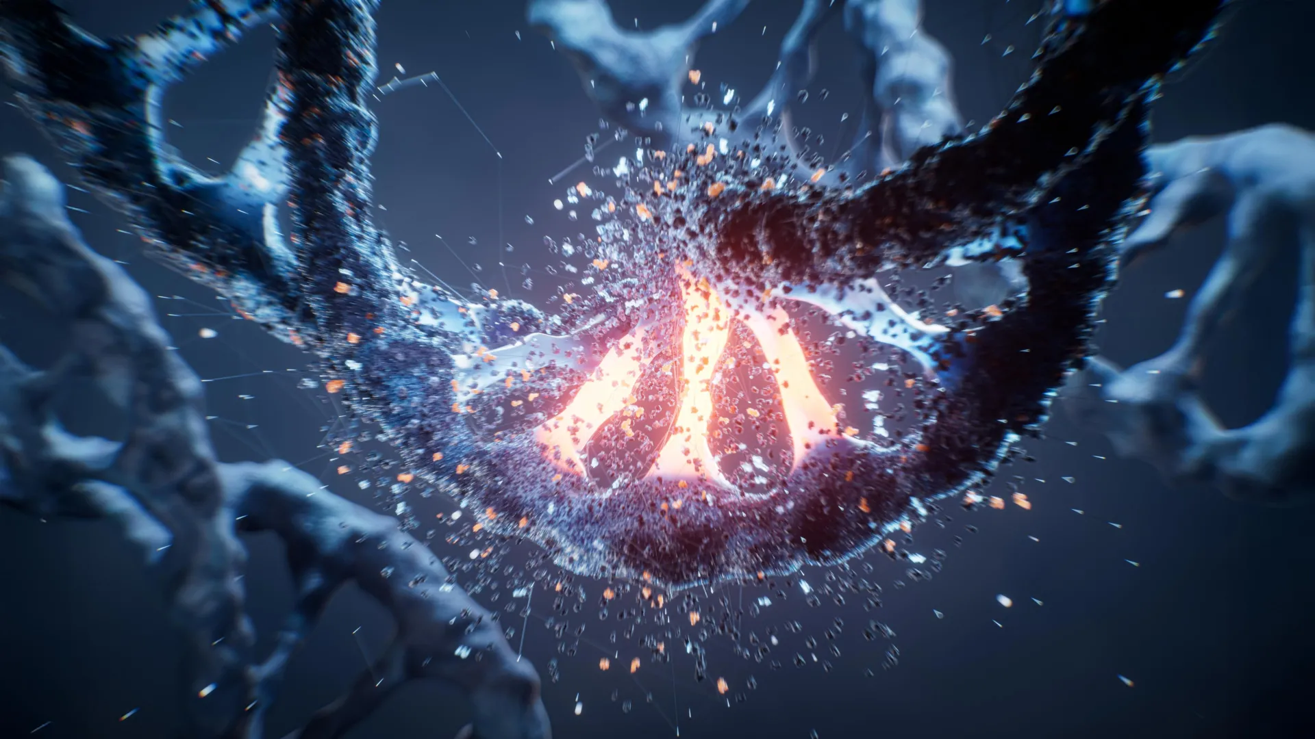 One faulty gene copy can make the heart’s DNA fold the wrong way