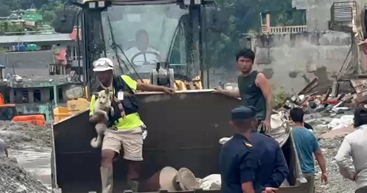 Deaf dog is reunited with her owner after the devastating floods in Nepal