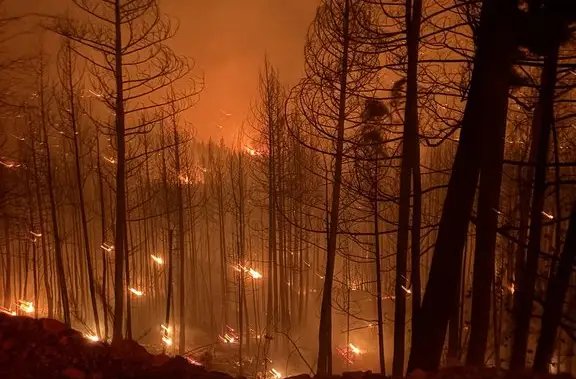 B.C. to provide wildfire and drought update as more than 100 fires burn