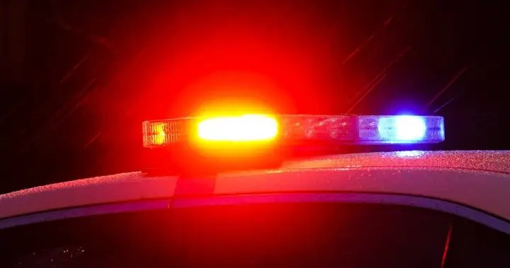 RCMP say man dead after being hit by train in Chilliwack, B.C.