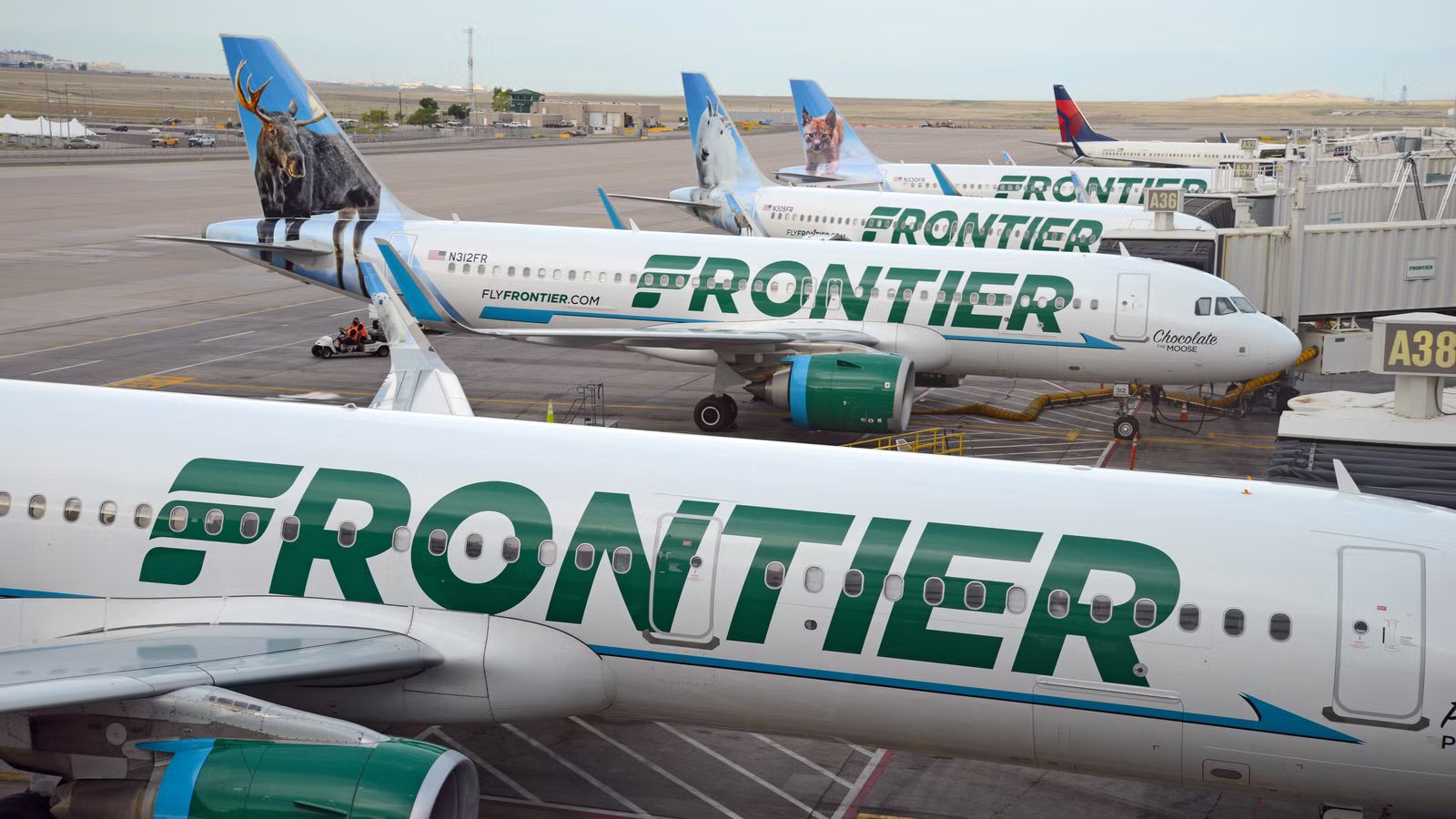 “Faster Path”: Frontier Airlines Now Allowing Frequent Flyers To Achieve Elite Status Faster