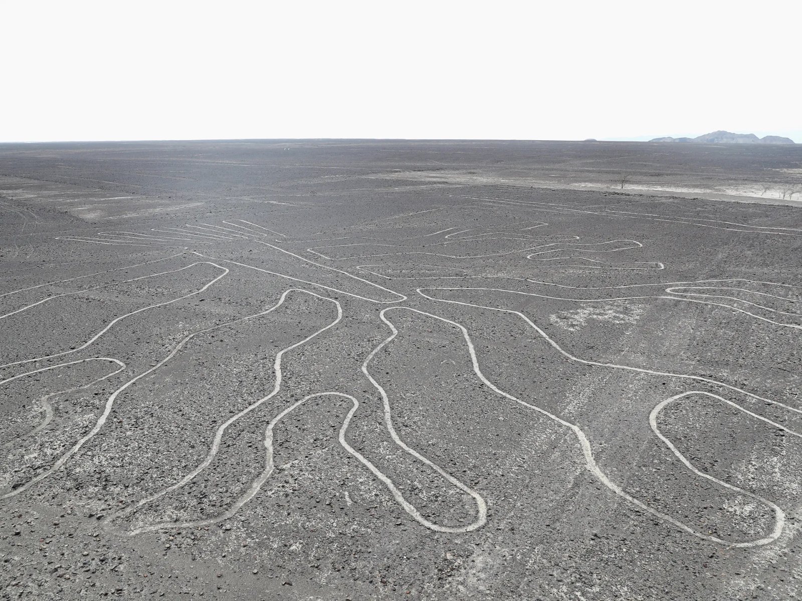 Police say 13 killed as small plane viewing Nazca Lines in Peru crashes | Aviation News