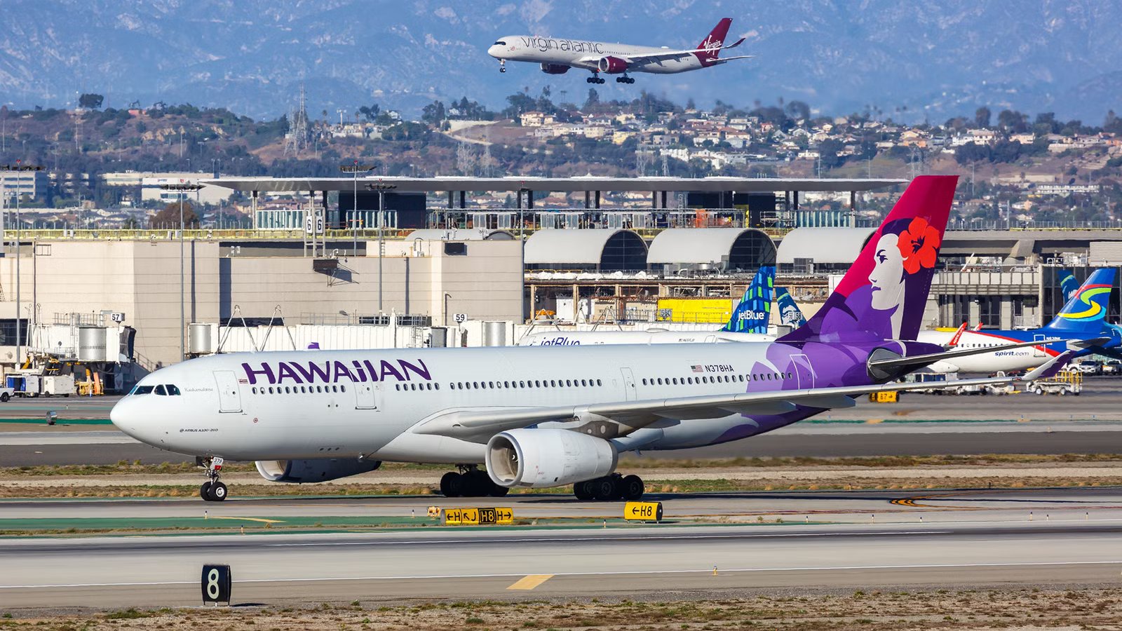LAX Caterer Serving 15 Airlines Faces Mold, Maggot And Cockroach Allegations
