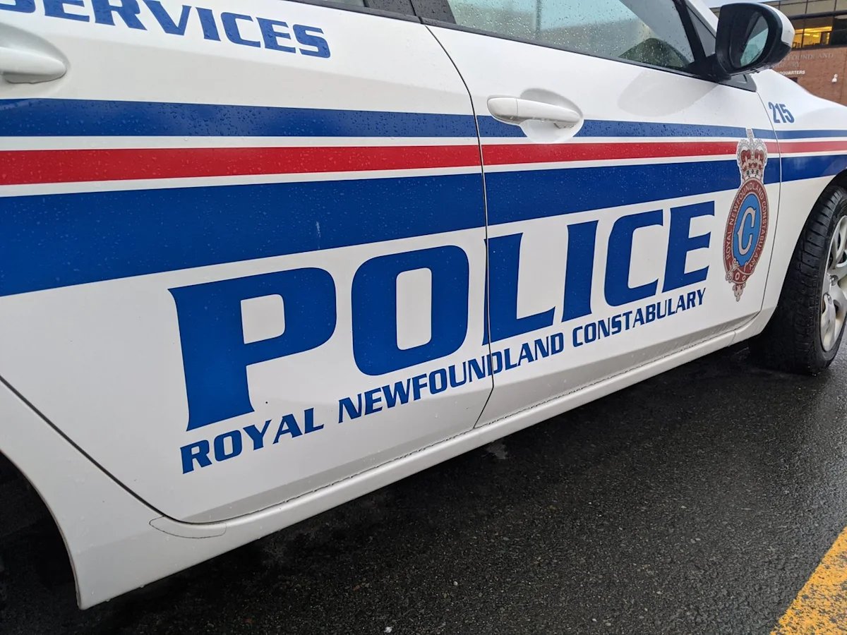 Small sea plane crashes in woods near St. John’s, N.L., injuring both men on board