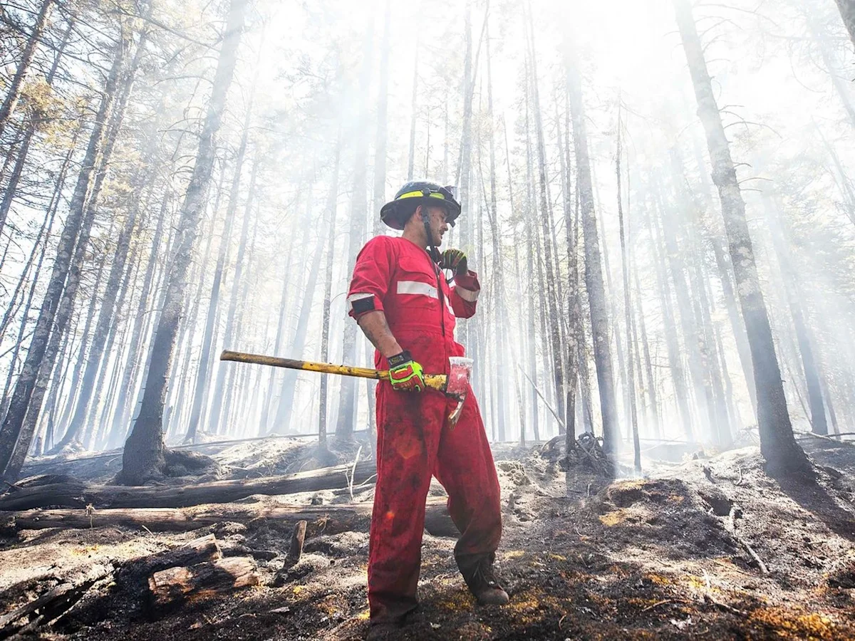Opinion: We need to reduce wildfire fuel and zone better