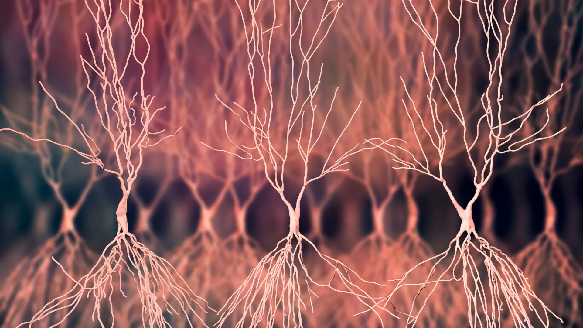 Two new compounds could reveal hidden drivers of Alzheimer’s disease