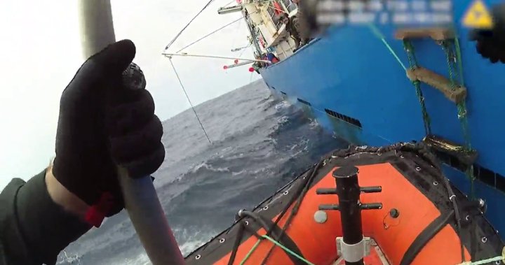 Possible illegal fishing operations, including shark finning, found during DFO patrols – BC