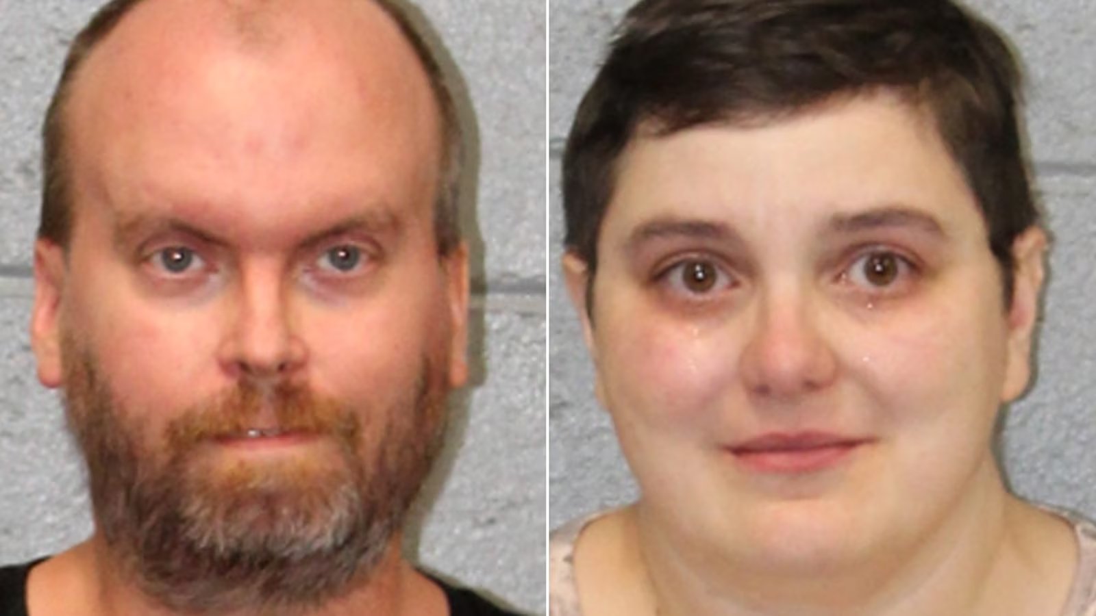 Arizona couple arrested after stealing and selling over $6,000 in library books: Police