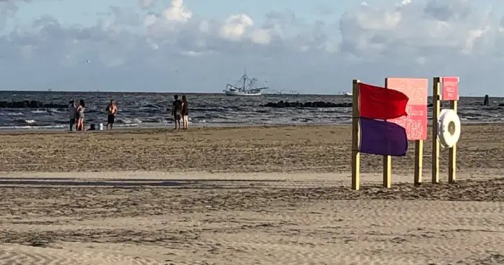 Louisiana health officials warn beachgoers of flesh-eating bacteria – National