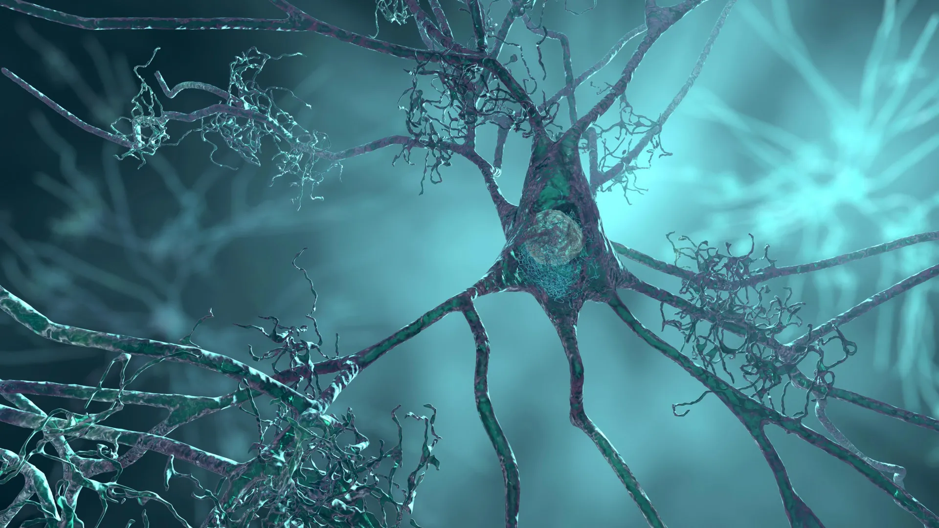 A major Alzheimer’s risk gene may shrink brain cells years before symptoms