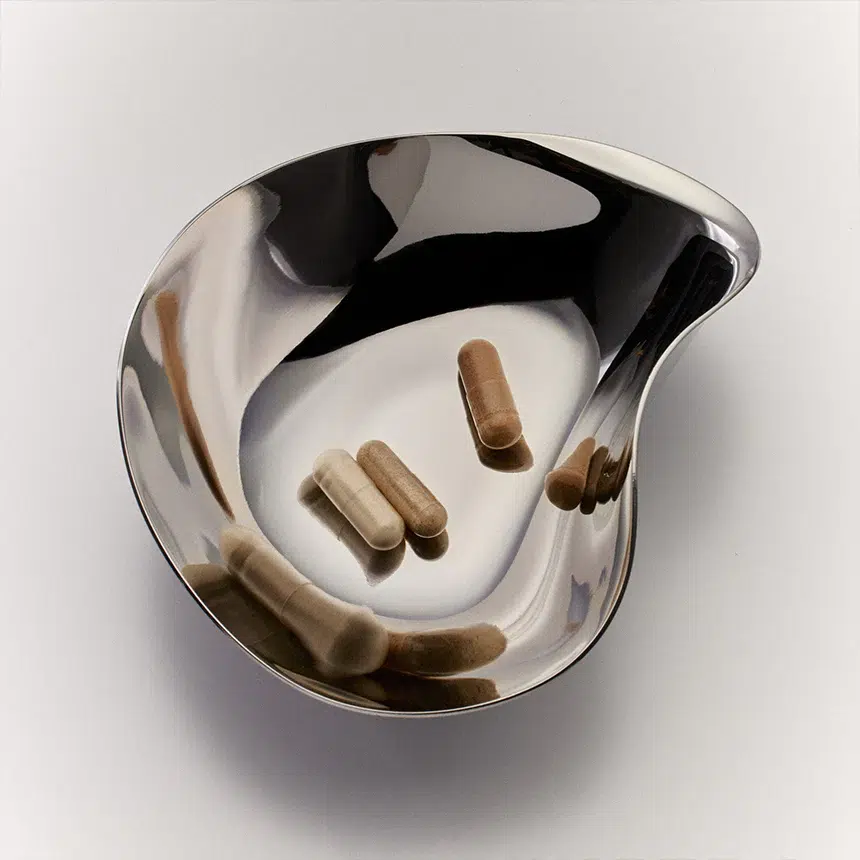 10 Best Mushroom Supplements For Functional Support (2026)