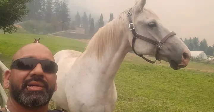 Summerland wildfire livestock ‘hero’ stopped after breaking the rules