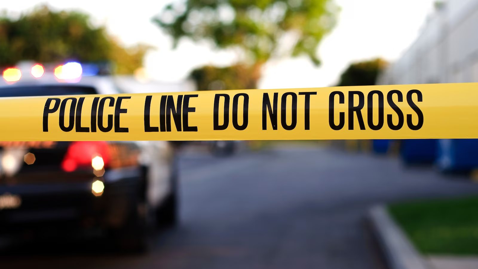 Woman found stabbed to death at parking area in Virginia, homicide investigation underway: Police